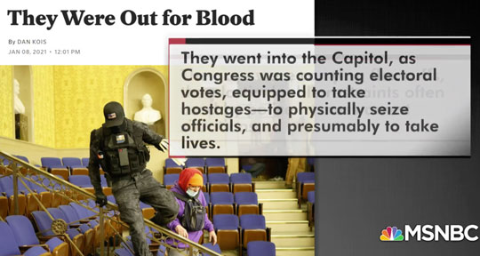 Capitol Building Violent Insurrection
