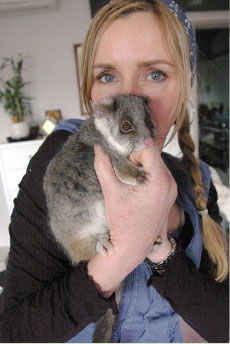 Holding Possums