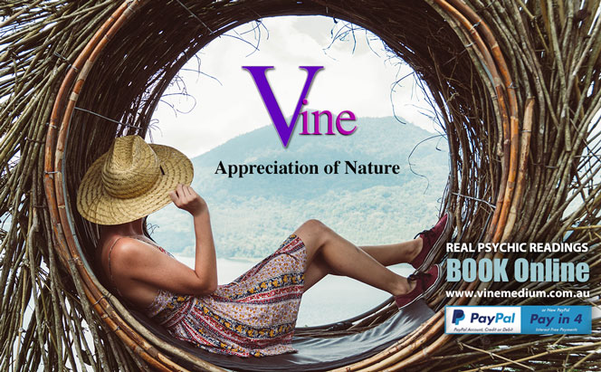 For real clarity, book a psychic reading with Vine